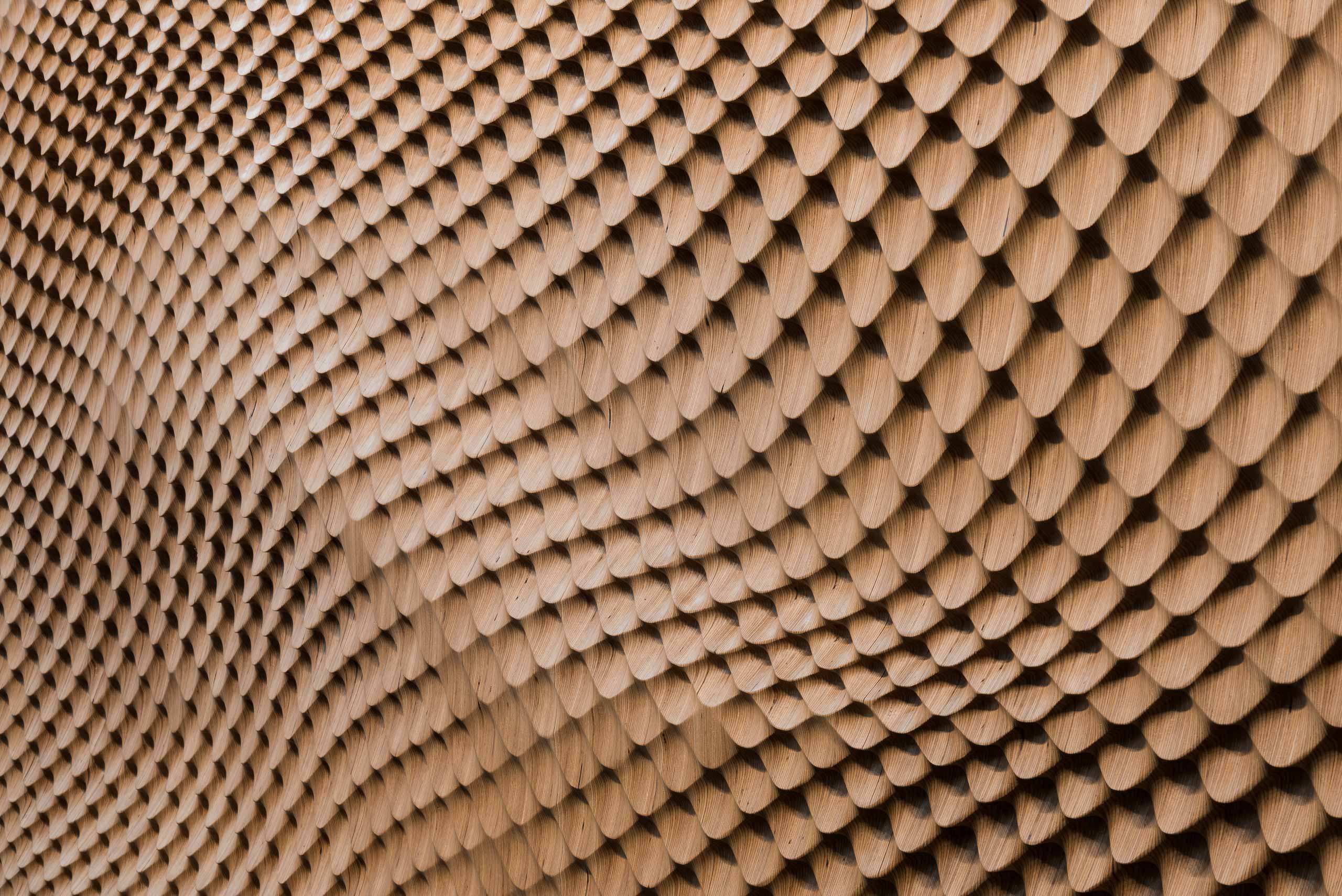 Oberflächen Design Struktur Buchenholz